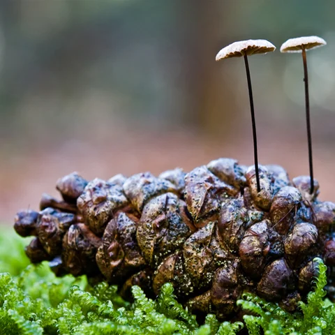 aanbod dialoogcoaching